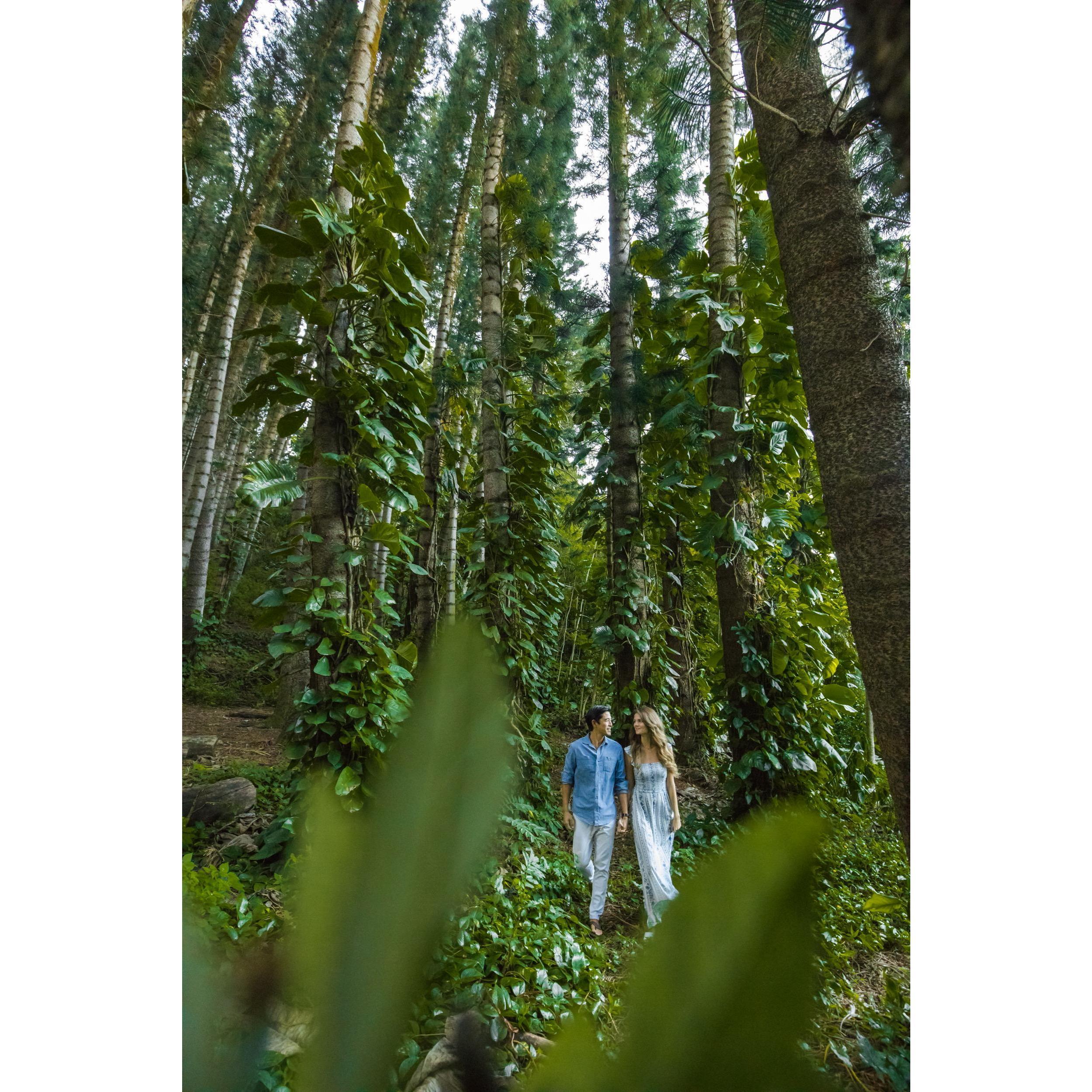 Engagement photos!