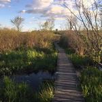 White Memorial Conservation Center