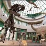 North Carolina Museums