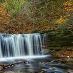 Ricketts Glen State Park