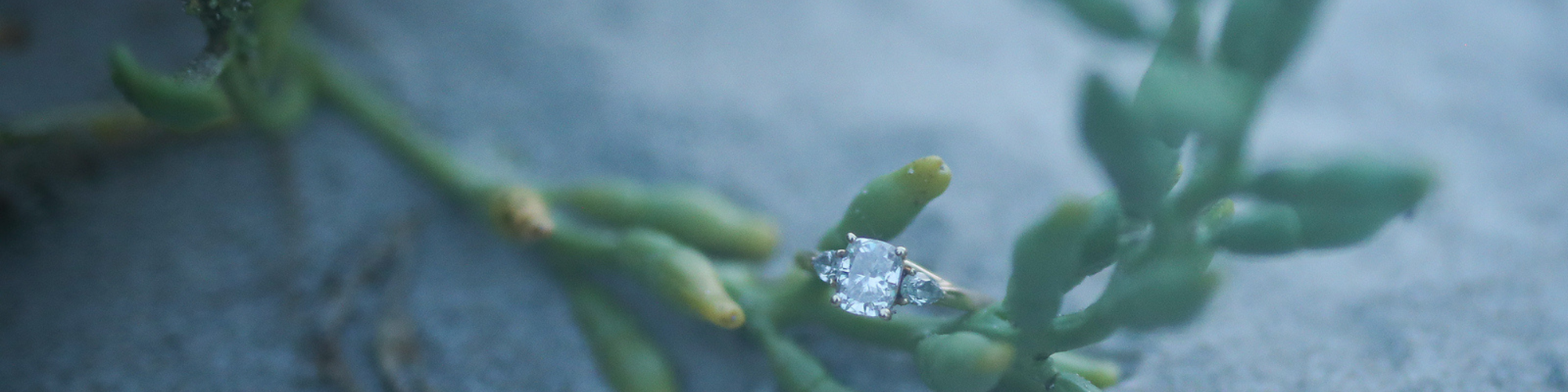 The Wedding Website of Megan Hardy and Zachary McHugh