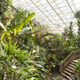Foellinger-Freimann Botanical Conservatory