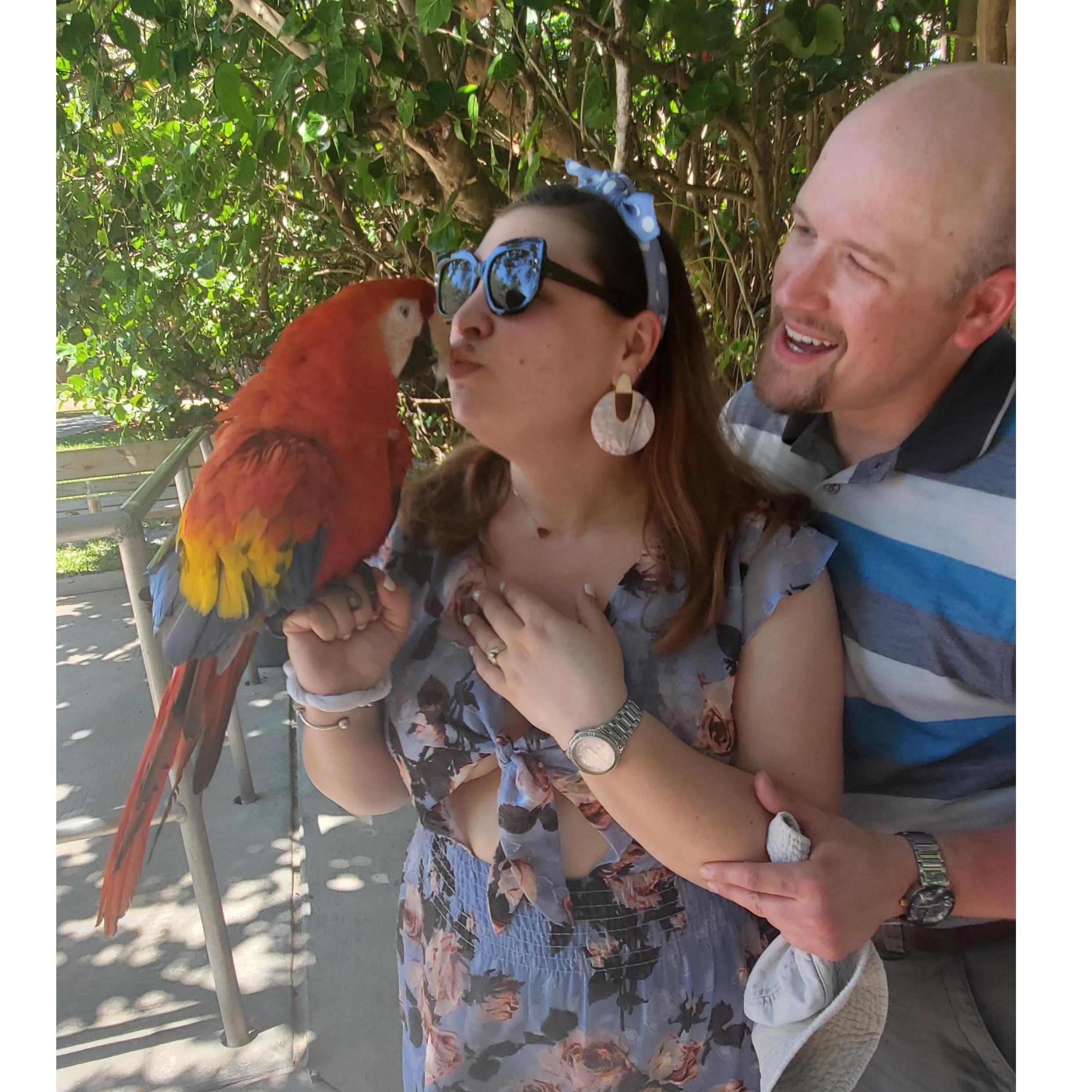 The parrot also got kisses