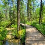 Lake Bemidji State Park