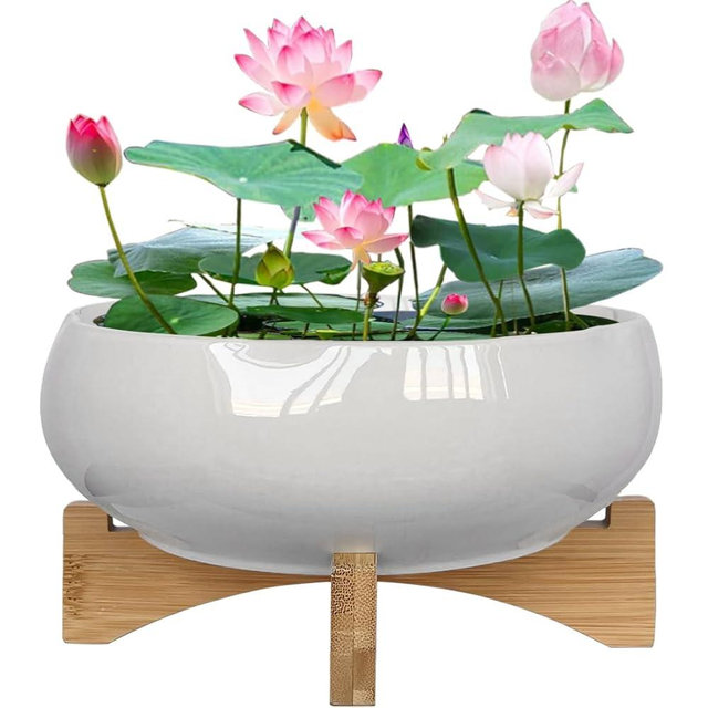 MUZHI White Ceramic Water Lotus Bowl Planter Pot with Bamboo Stand 7.8”, Lotus Shape Hydroponic Water Lily Flower Pot