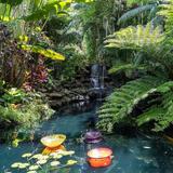 Marie Selby Botanical Gardens Downtown Sarasota