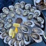 Taylor Shellfish Farms