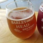 Barley Head Brewery
