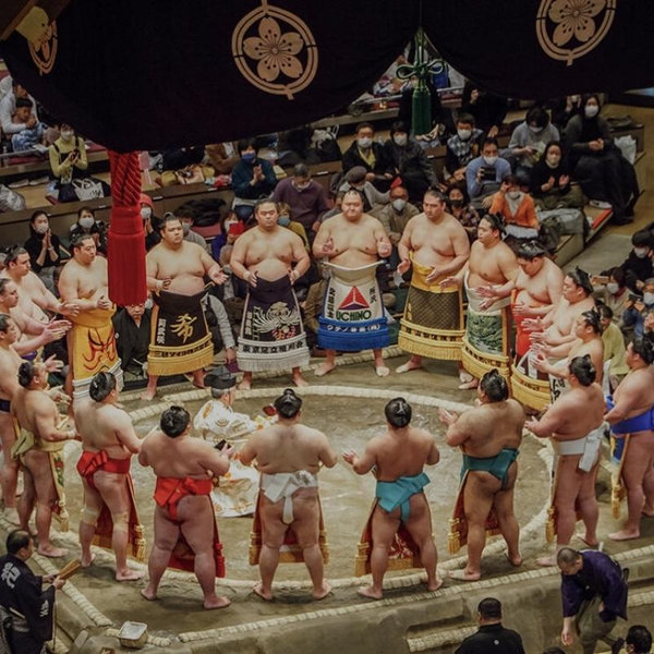 Sumo Wrestling Tournament in Tokyo