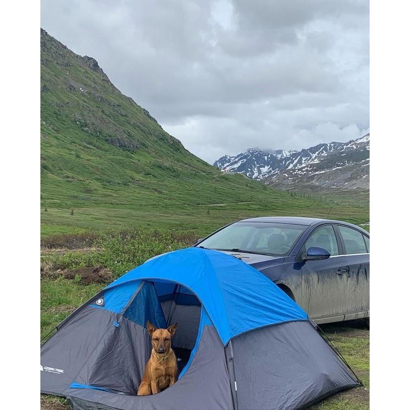 Camping in Hatcher Pass this past summer. Rushi was ready for sleep, but the midnight sun was still out!