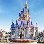 Disney world, Orlando FL