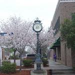 Downtown Chapin