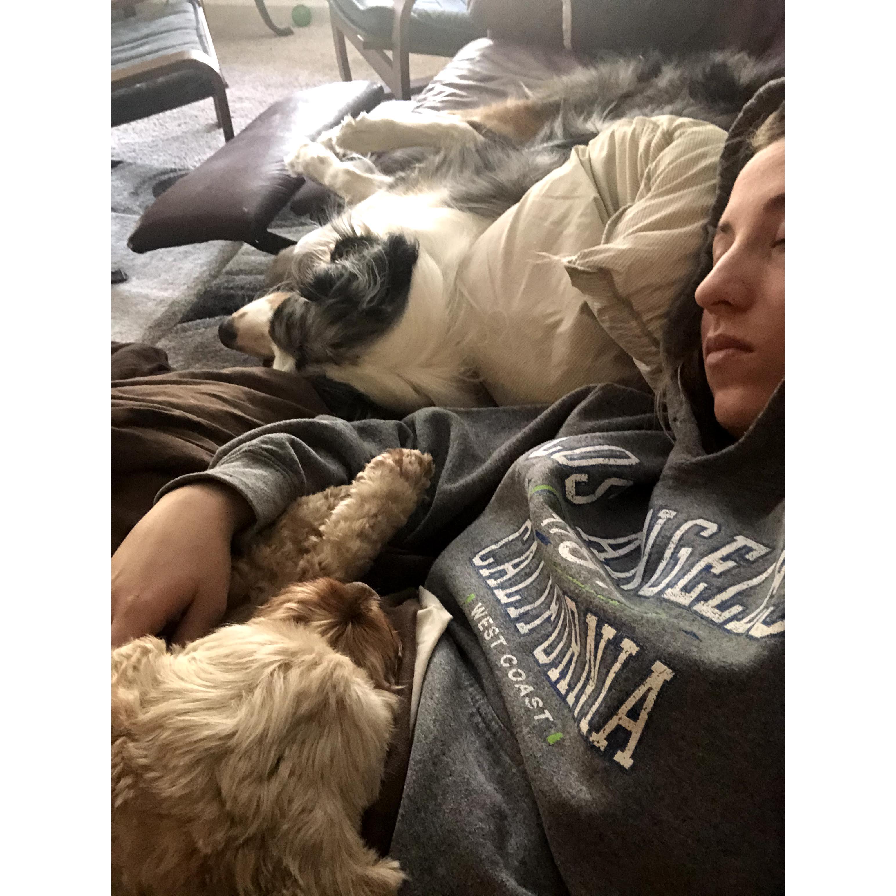 Laura passed out on the couch with the dogs