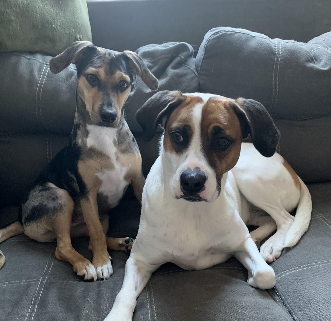 The Wedding Website of Jessica Ambrose and Kory Schalm