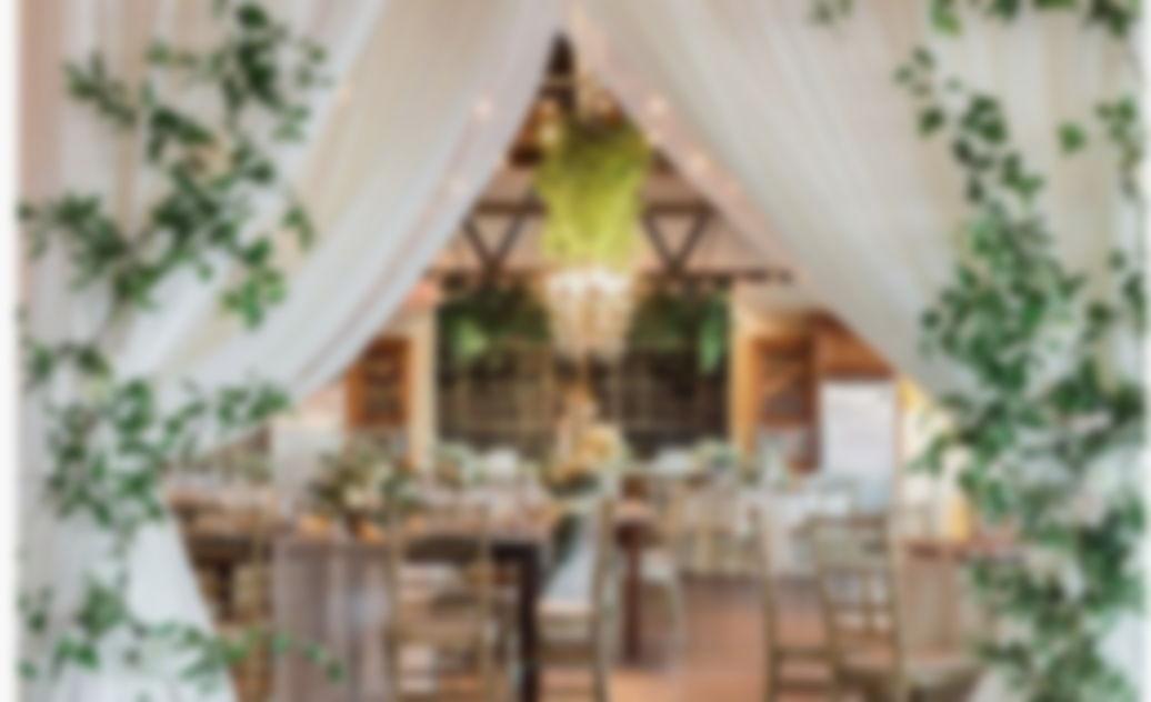 The Wedding Website of Gia Emmanuel and Clifton Humphries