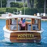 Pointer Boat