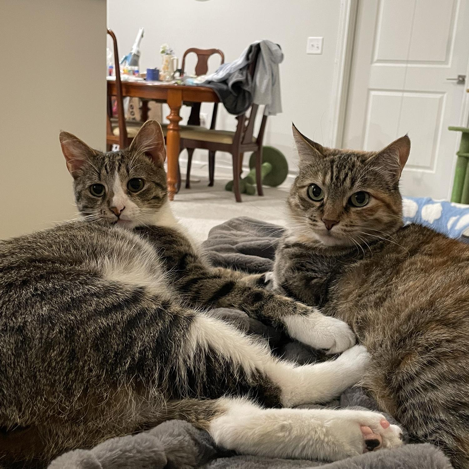 Lita and Winnie!