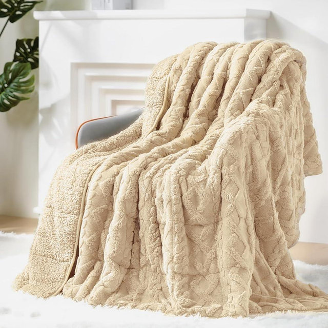 Eazfy Pro Super Soft Fuzzy Sherpa Fleece Weighted Blanket, 15 lbs Dual Sided Fluffy Heavy Weighted Blankets for Adults - No Bunching with Double Layers of Soft Inner Lining (60"x 80", 15 Pounds)