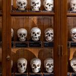 The Mütter Museum at The College of Physicians of Philadelphia