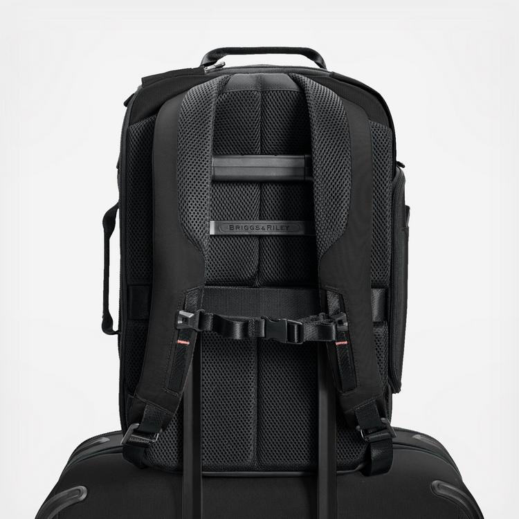 Briggs & Riley, ZDX Medium Convertible Backpack | Zola