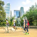 Ann and Roy Butler Hike and Bike Trail