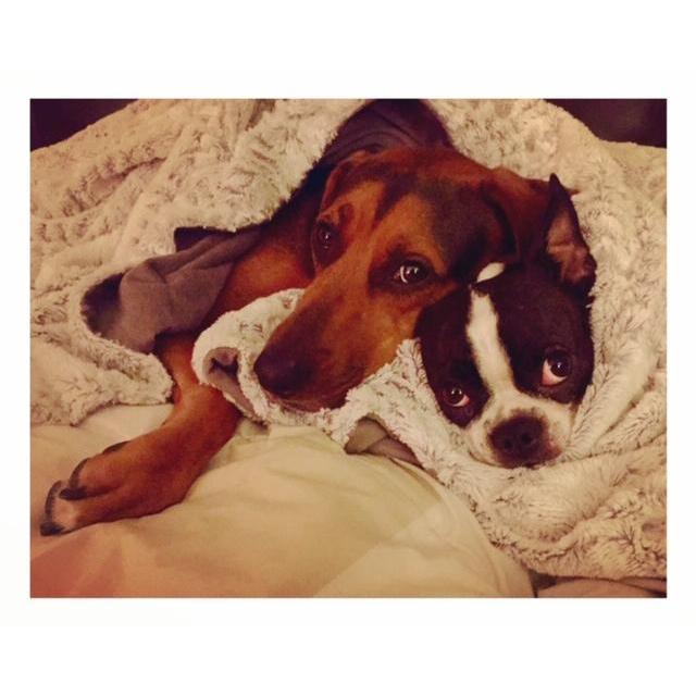 Sister cuddles {2015}