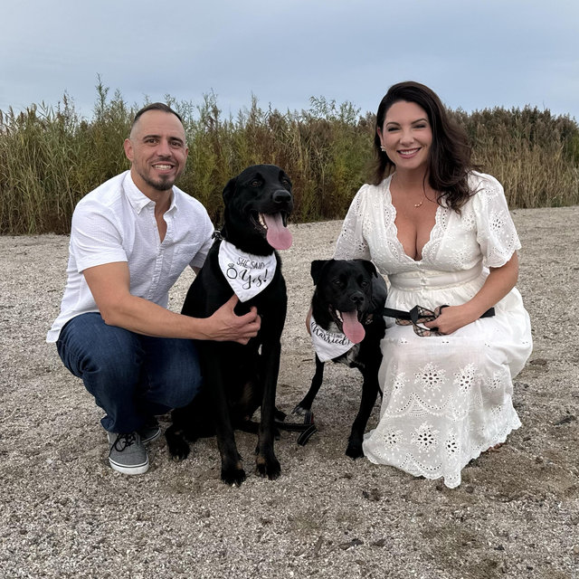 Donate to Toledo’s PET Bull Project