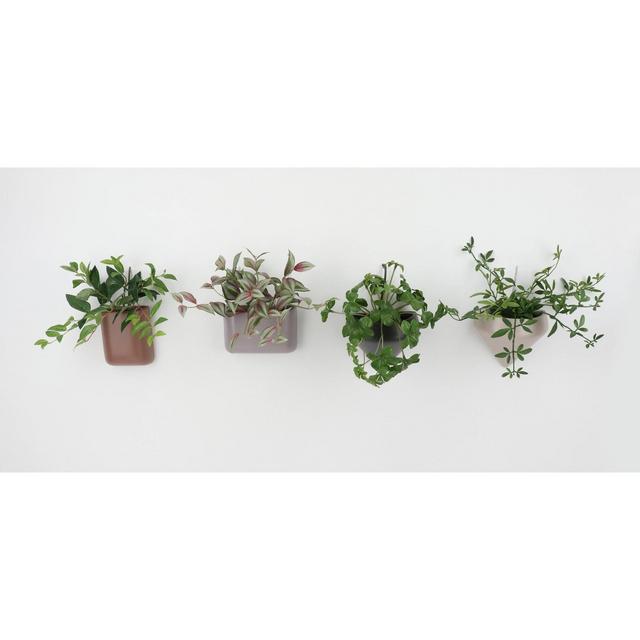 Set of 4 Succulent Wall Planters - Project 62™