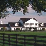 Southfork Ranch