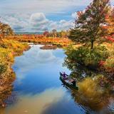 Hiking at White Memorial Conservation Center