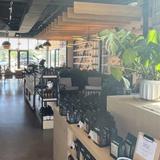 Corvus Coffee Roasters