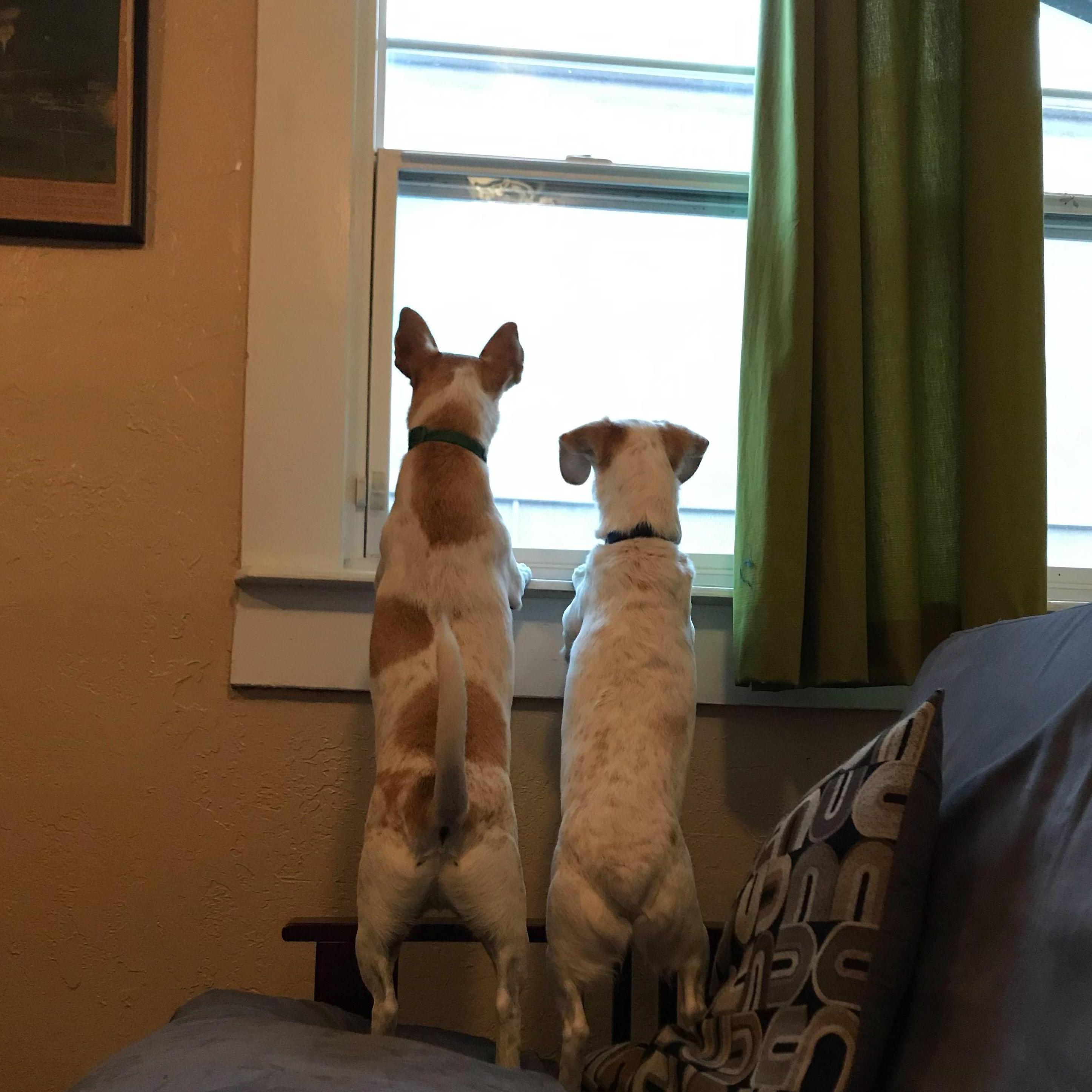One butt, two butt........