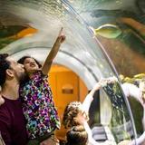 Discovery World