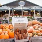 Linvilla Orchards