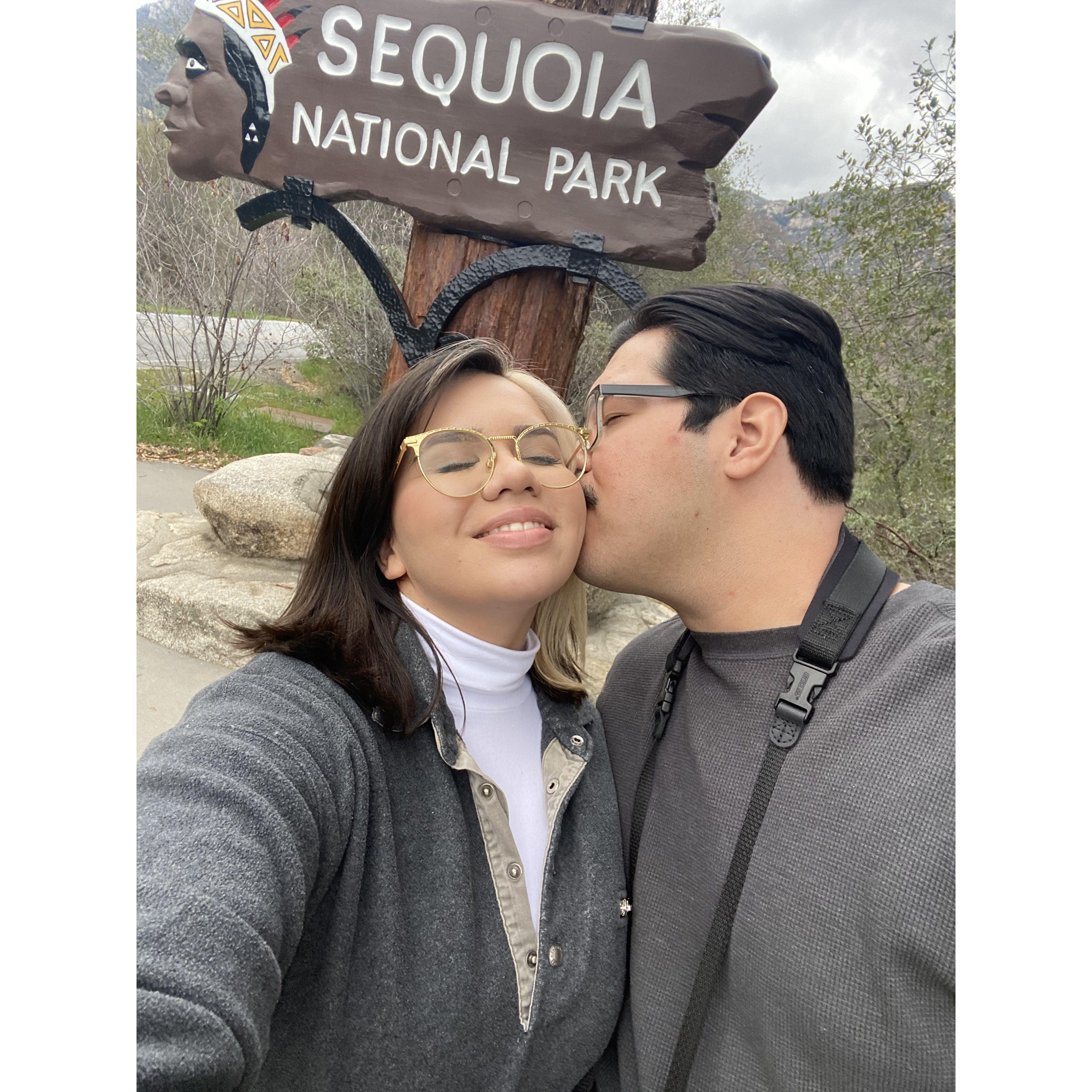 Sequoia Trip for our Anniversary