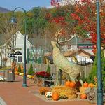 Downtown Banner Elk