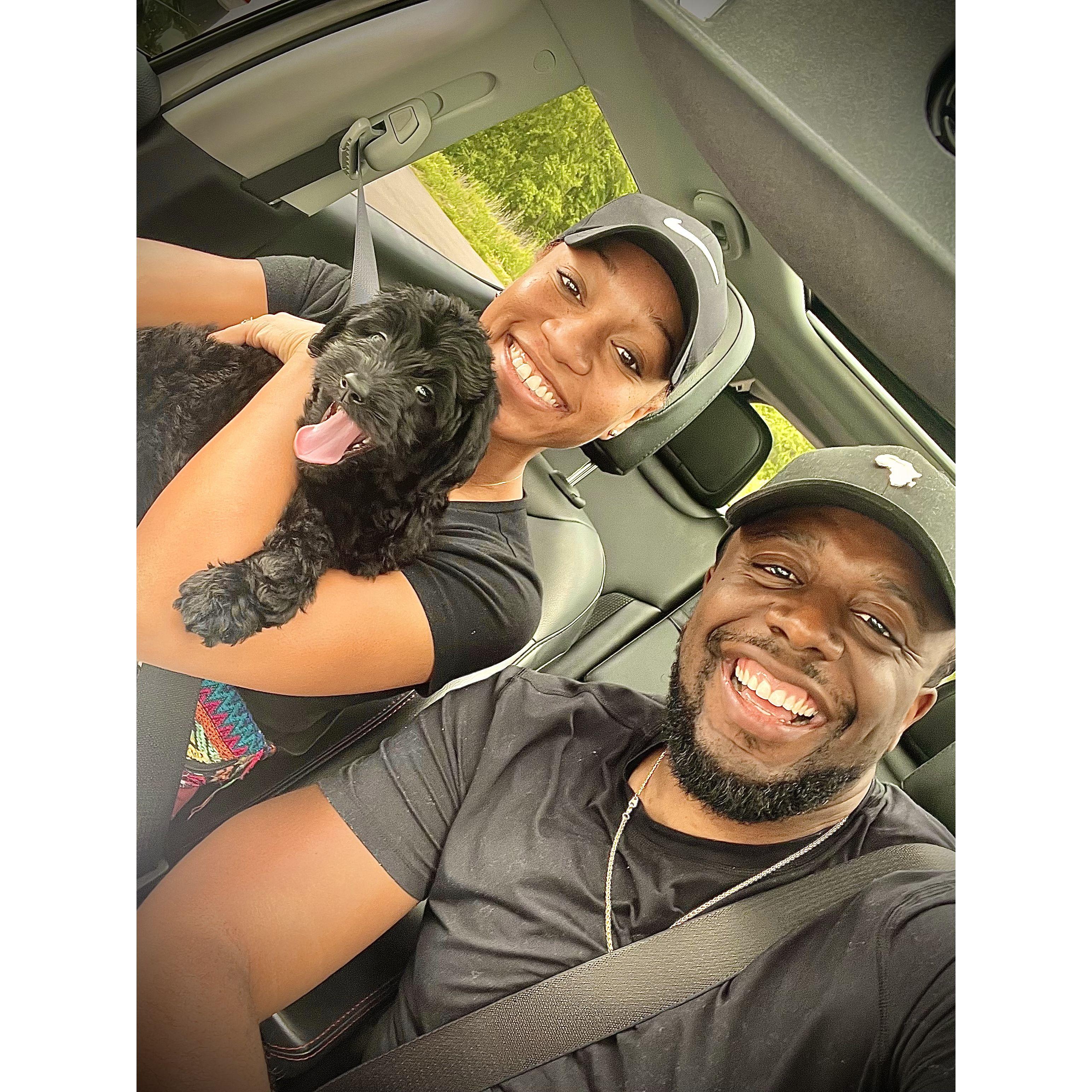 2022. The day Sam & Cierra brought home their puppy, Marley!