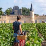 Médoc