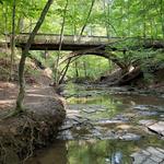 Highbanks Metro Park
