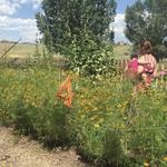 Denver Botanic Gardens Chatfield Farms