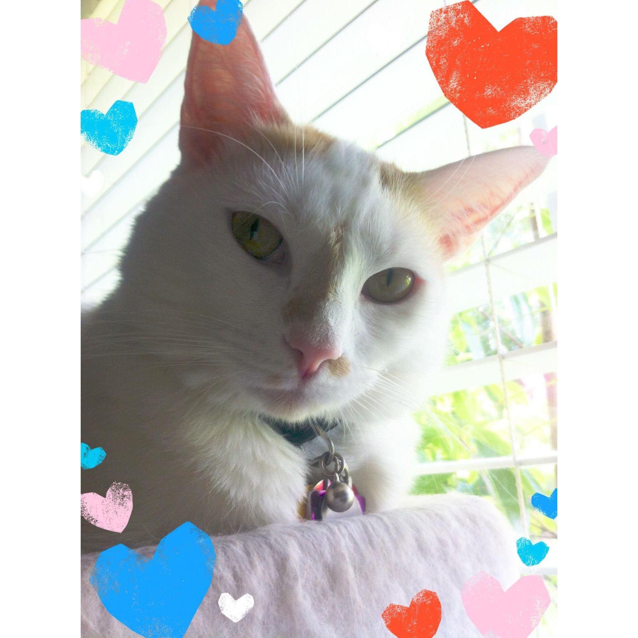 My favorite picture of my Jasper