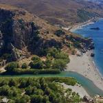 Preveli Palm Forest