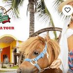 Mi Mexico Lindo Tequila Tour