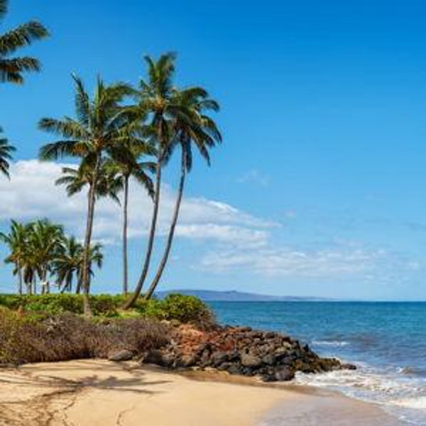 Maui Travel Fund