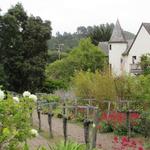 Folktale Winery & Vineyards