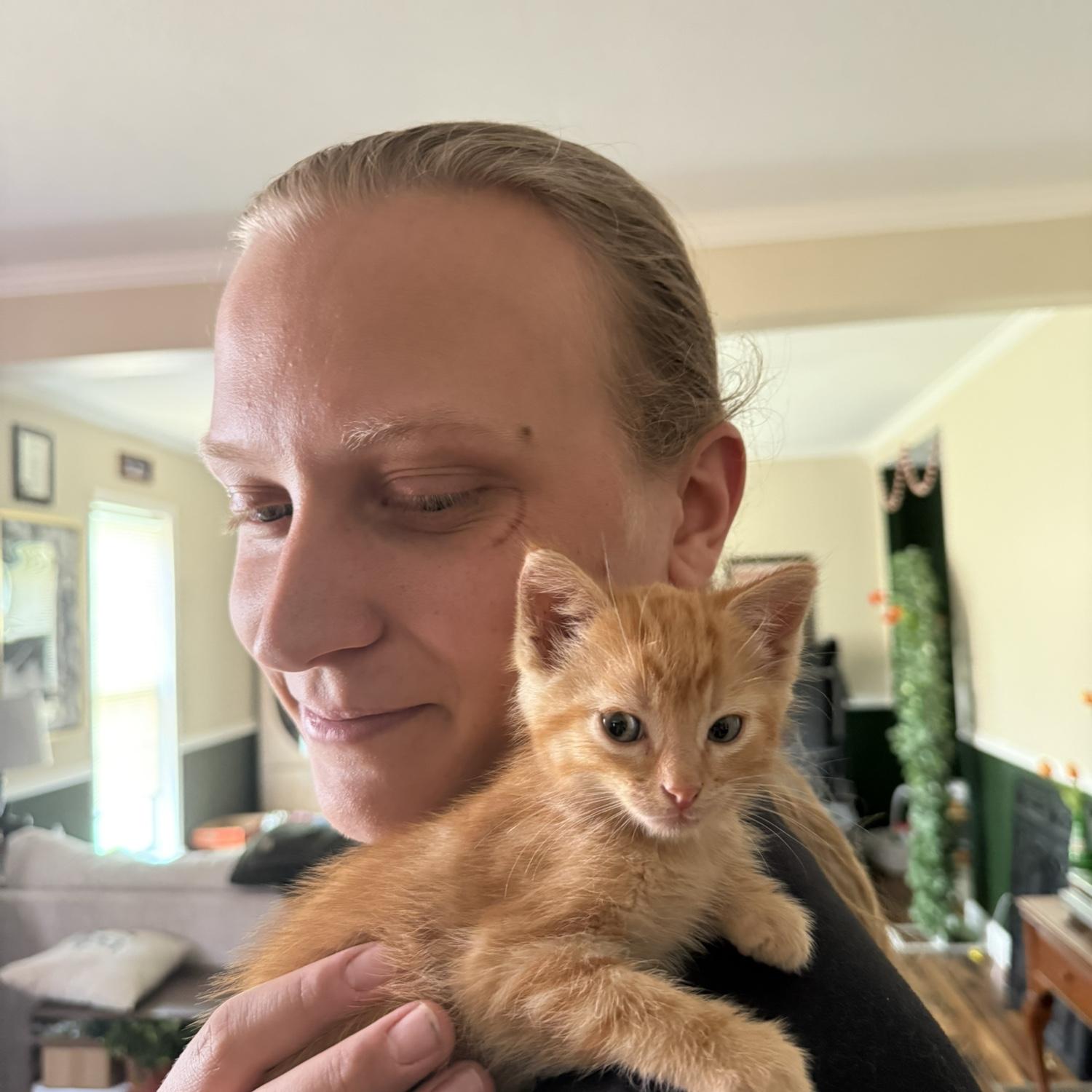 Our newest baby Gus! July 2025