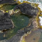 Piscinas Naturais "Caneiros"