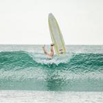 Surf's Up!