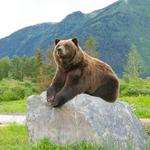 Alaska Wildlife Conservation Center