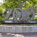 Philadelphia Zoo